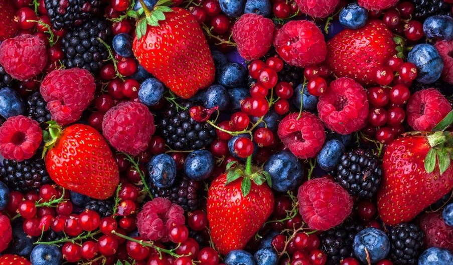 Что естественно – то дороже продается: бизнес-план выращивания органических ягод 